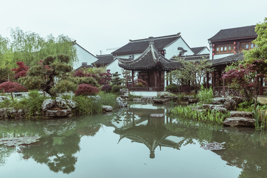 斜塘老街