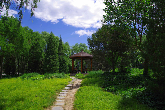 丰台区莲花池公园