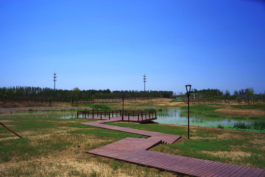 朝阳区黑桥公园