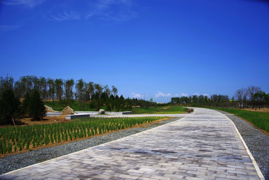 朝阳区黑桥公园