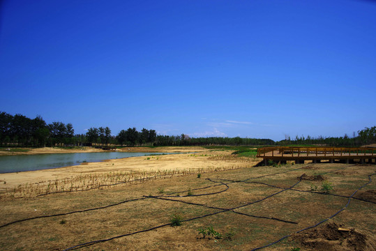 朝阳区黑桥公园