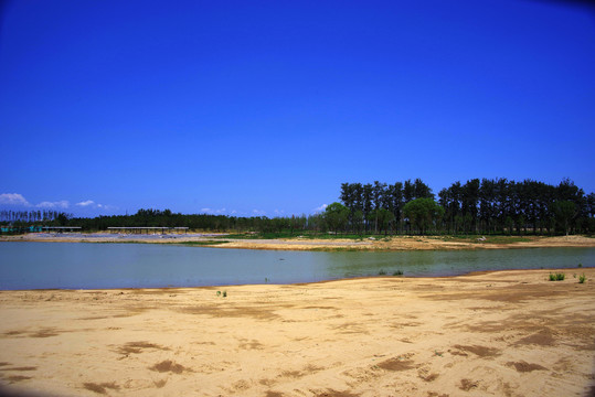 朝阳区黑桥公园