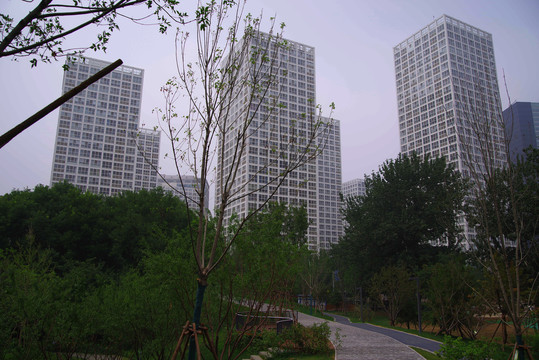 北京cbd城市森林公园
