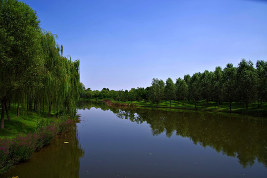 北京东郊湿地公园