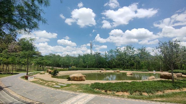 公园池塘蓝天白云