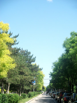 休闲景观