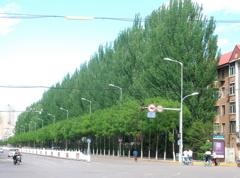 城市园林街景