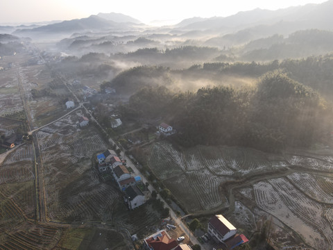 乡村清晨