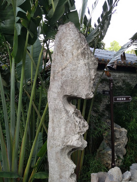 石头
