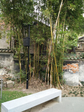 竹林