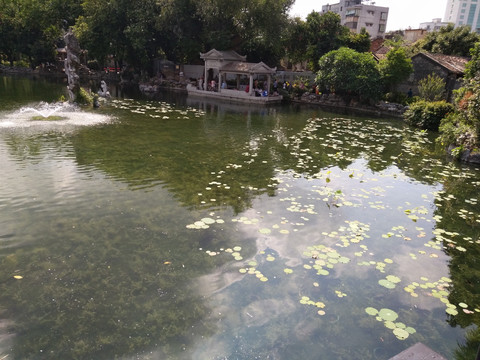 景观园林