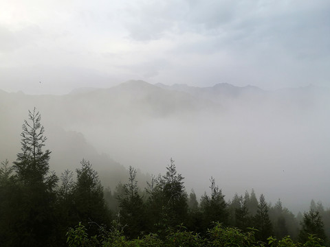 云雾迷茫
