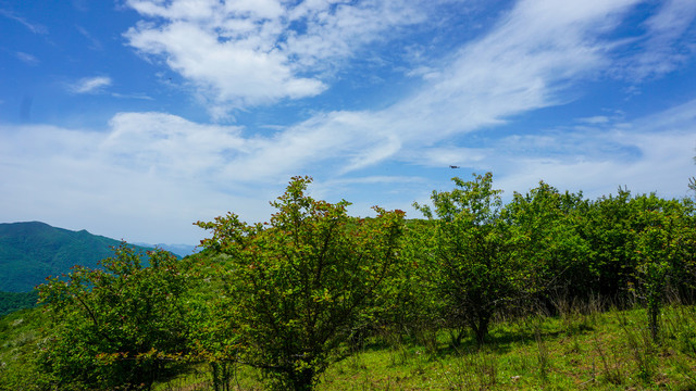 高山山峰