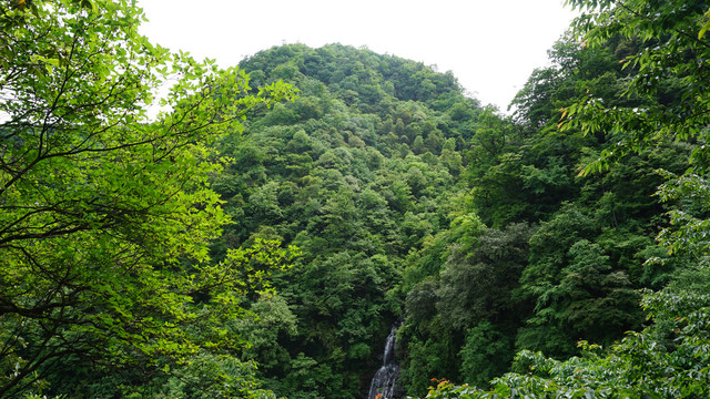 高山瀑布