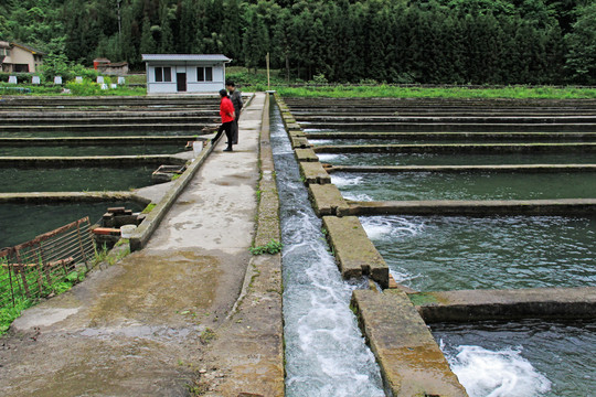 生态河水养鱼场