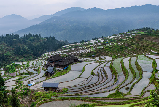 灌水期的贵州加榜梯田景色