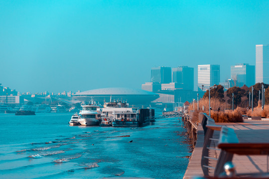 黄浦江上游轮码头