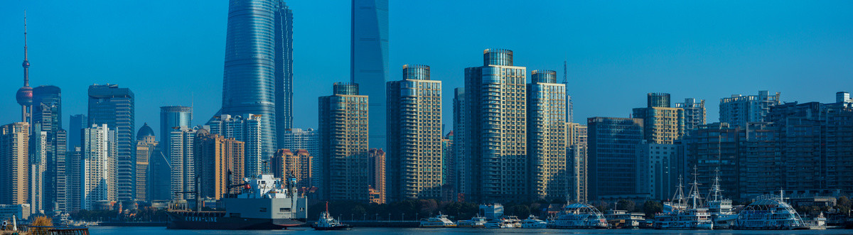 上海天际线全景