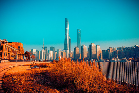 上海天际线全景
