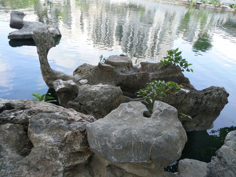 石头