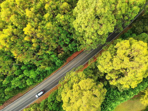 林间公路