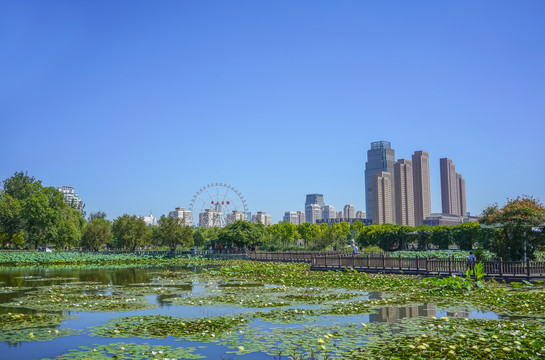 天津水上公园高清大图