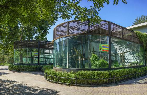 天津动物园金丝猴笼大画幅