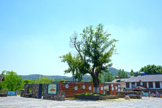 南京江宁东山街道佘村社区