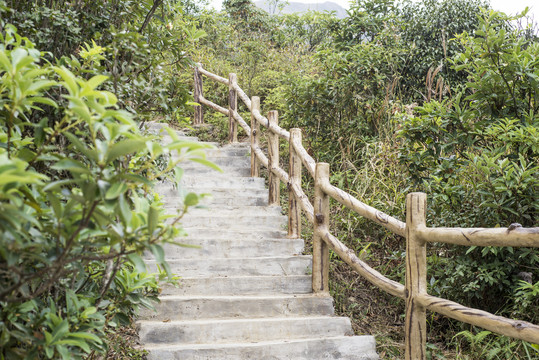 山路阶梯