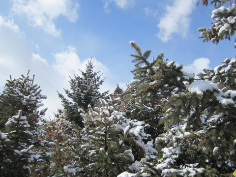 香格里拉龟山公园