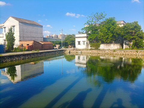 鱼塘风景