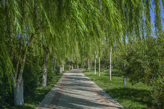 天津南翠屏公园步道