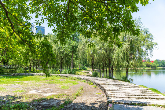 成都东湖公园自然风景