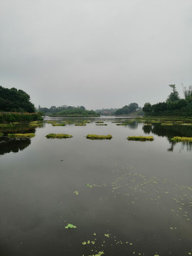 湖泊池塘湿地公园