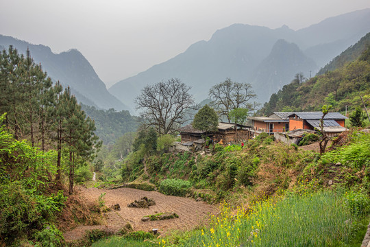 秋那桶村