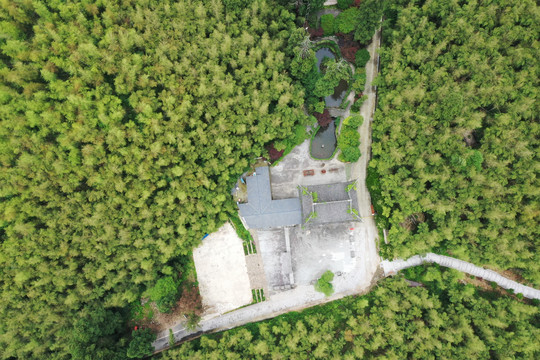 航拍竹海古寺杭州釜托寺