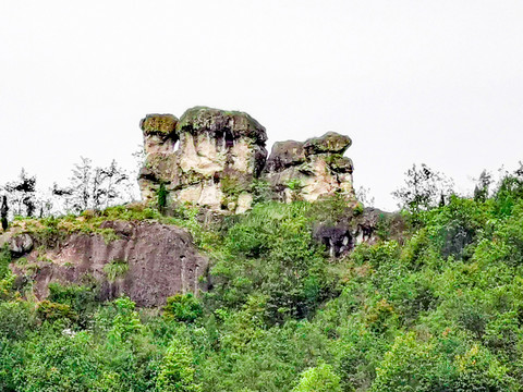 青山