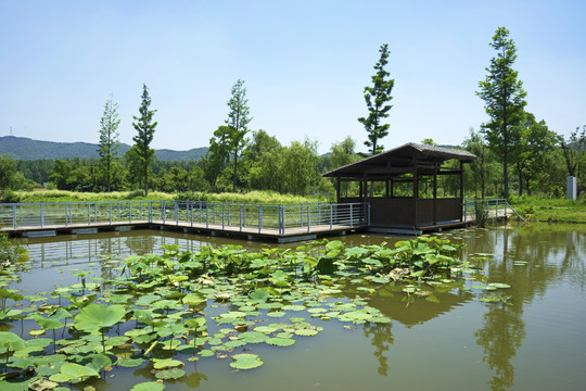 江宁东山街道佘村社区