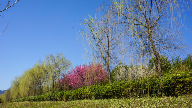 沿河公园