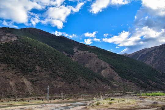 风景背景