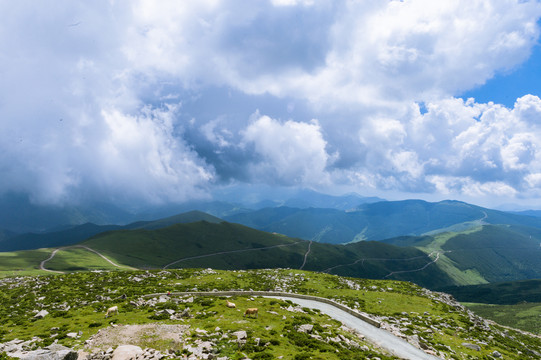 五台山台顶风光