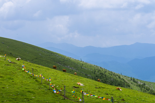 五台山风光