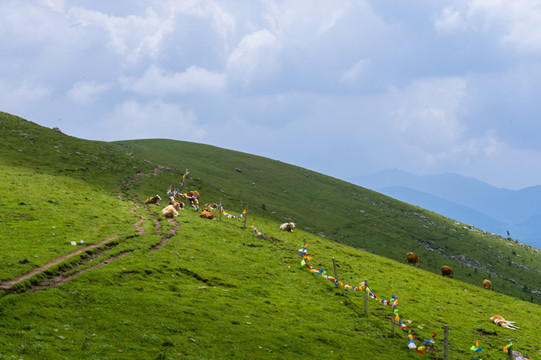 五台山风光