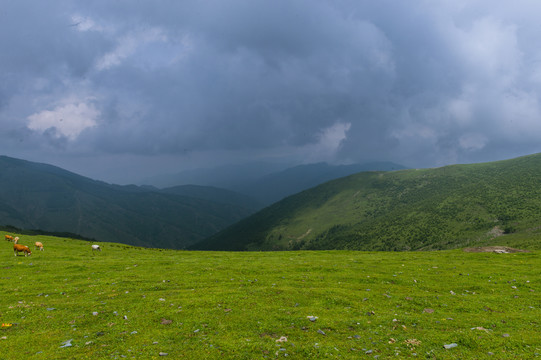 五台山台顶