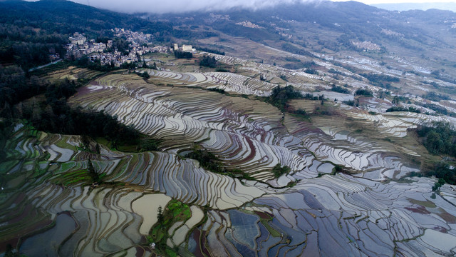 元阳梯田