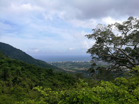 热带雨林山景