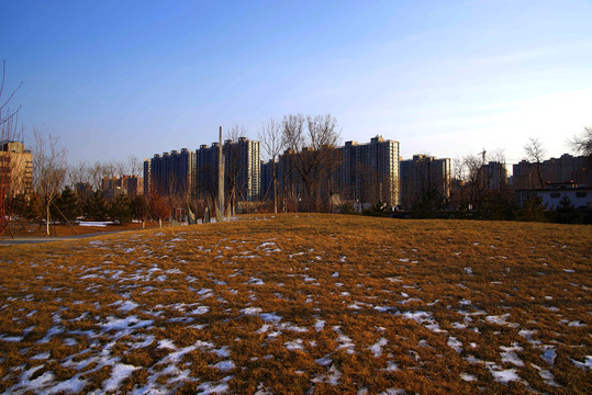 朝阳区惠水湾城市森林公园