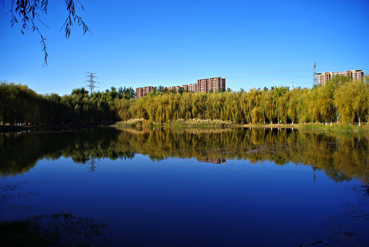 朝阳区东坝千亩湖公园