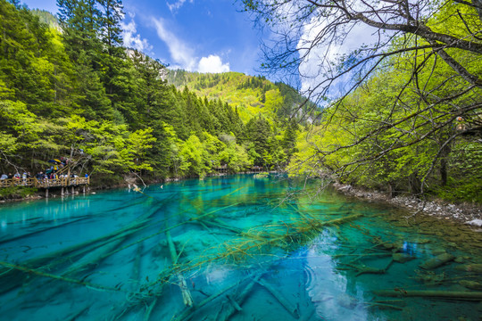 五花海孔雀河道