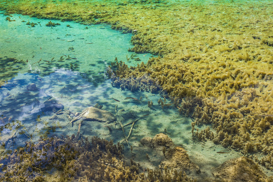 醉美九寨沟